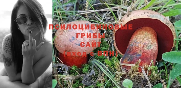 МДПВ Алексеевка