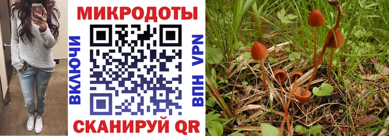 где купить   Магнитогорск  Галлюциногенные грибы мухоморы 